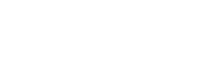 acrobatic arts reverse logo